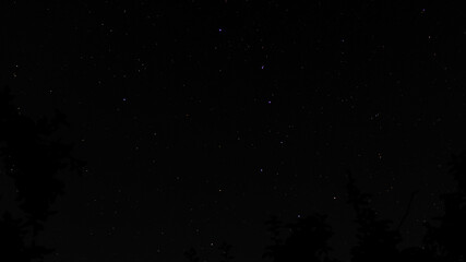 Wide night sky scattered with bright stars and faint constellations, photographed over dark tree silhouettes using long exposure for a tranquil astronomical scene