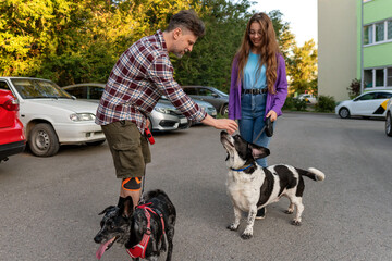 Casually dressed father pets a black and white dog while his daughter looks on, both holding leashes as their two dogs stand on a residential street during summer