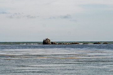Seabirds rests on jagged rocks rising from ocean, surrounded by gentle waves under an open sky, capturing a vivid coastal wildlife scene. Tikhaya Bay in the Sea of Okhotsk, Sakhalin Island