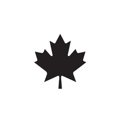 Obraz premium Symmetrical Maple Leaf Silhouette Isolated White Background