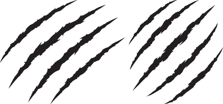 Set of two black bear claw marks or animal scratch marks vector icons