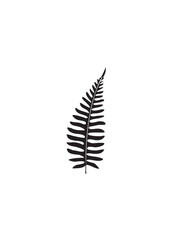 Black Fern Leaf Silhouette, Natural Botanical Element on Isolated White Background