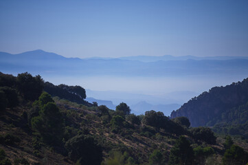 Tranquil Mountain Valley With Blue Haze Over Forested Hills At Dawn