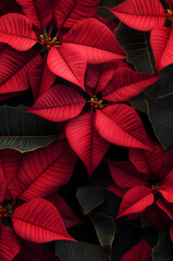 Obraz premium Abstract background with red Poinsettia leaves. Vertical composition.
