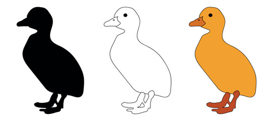 Fototapeta premium Duck vector illustration set showing silhouette, outline, and colored duck designs. Simple flat style bird illustrations suitable for farm, animal, nature, children, and graphic design use.