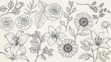 Collection of Hand-Drawn Floral Illustrations with Botanical Elements.