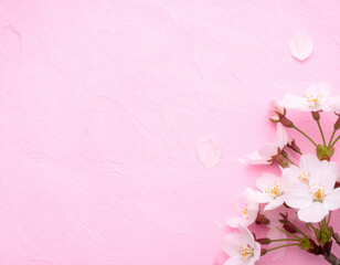 Fototapeta premium さくらの花とシンプルなピンクの背景素材 和紙風のテクスチャ 春 レトロ 和風