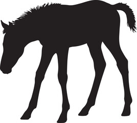 Obraz premium Cute Foal Silhouette, Baby hourse icon, Foal silhouette