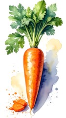 Vibrant orange carrot with green leaves, watercolor style
