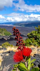 Vibrant red flower atop volcanic landscape