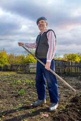 An elderly pensioner cultivates his garden with a hoe in the fall