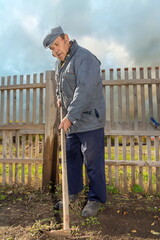 An elderly pensioner cultivates his garden with a hoe in the fall