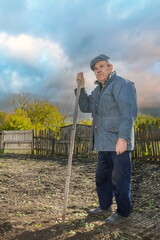 An elderly pensioner cultivates his garden with a hoe in the fall