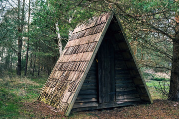 Rustic wooden A-frame cabin hidden among pine trees in a quiet forest, old weathered hut with mossy roof, concept of wilderness shelter, eco tourism and adventure camping.