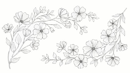 Delicate floral branches sketched with fine lines and subtle shading.