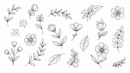 Hand Drawn Botanical Elements Collection Delicate Floral and Leaf Illustrations.