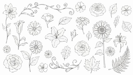 Collection of Hand Drawn Botanical Illustrations of Various Flowers and Leaves.