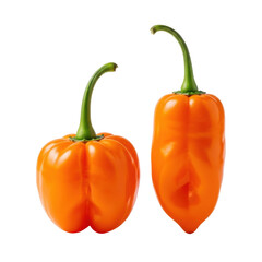 Two fresh vibrant orange habanero chili peppers, one rounded, one elongated, with green stems, on a transparent background with soft shadows, macro close-up for culinary branding