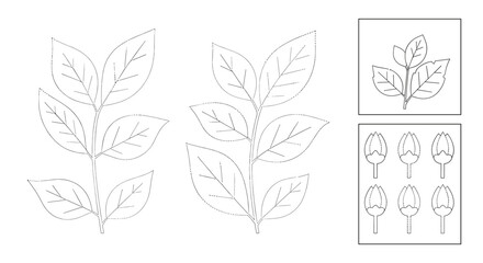 Educational tracing worksheet with leaf and flower bud outlines for kids to practice fine motor skills and learn about botanical elements.