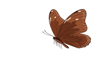 Obraz premium Beautiful illustration of a brown butterfly with delicate wing patterns and white spots, isolated on a white background.