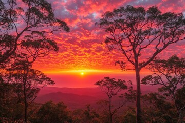 Vibrant red and orange sunset over forested mountains and ocean horizon