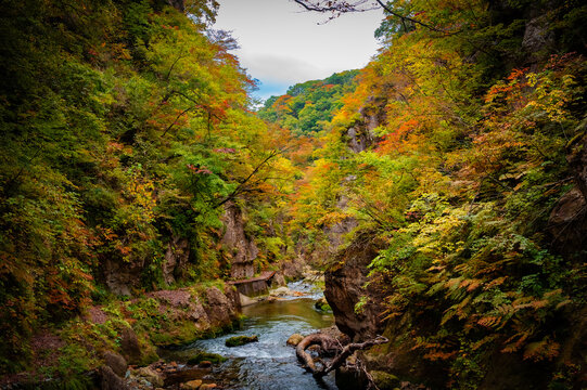 Autumn Foliage at Naruko Gorge, Miyagi, Japan