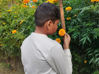 A Young Boy Standing in the Garden Admiring a Yellow Flower