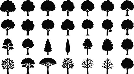 Tree silhouettes, diverse foliage, branching patterns, coniferous forms, leafless trees, forest design, botanical art, nature vector, CAD drawing flat illustration © MdAnisur