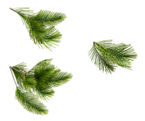 artificial pine branch photograph, ideal for christmas-themed backdrops and designs, enhancing a festive atmosphere with its realistic and textured appearance.