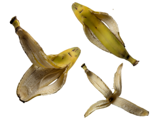 overhead photograph of three banana peels showing the inside and outside on a plain transparent background highlighting fruit waste and disposal concept