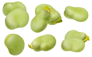 group of fresh green fava beans photograph showcases vibrant color and natural texture, ideal for illustrating healthy eating and recipes.