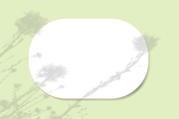 Natural light casts shadows from wildflowers on an oval sheet of white paper lying on a horizontal green background. Mockup