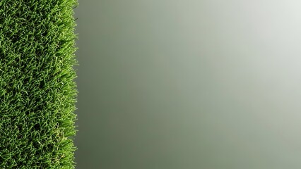 Vibrant green grass texture on gray background