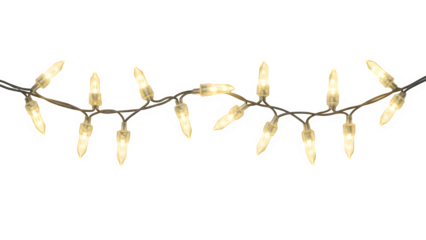 String of warm white fairy lights, festive holiday decoration