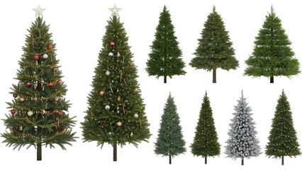 Fototapeta premium Variety of Christmas Trees - Decorated and Plain