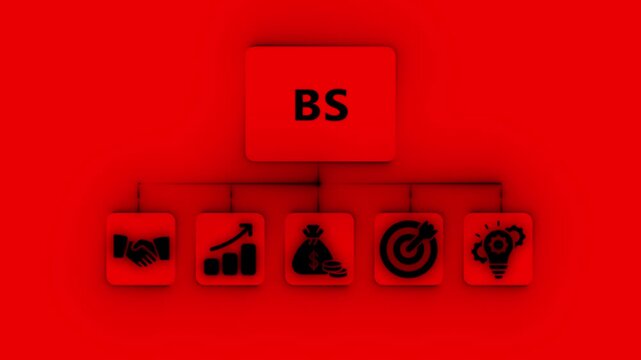 Business concept diagram with BS text and icons for handshake graph money target and lightbulb organization