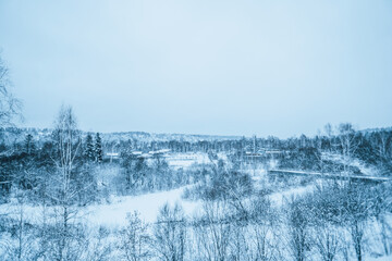 winter landscape outside the city