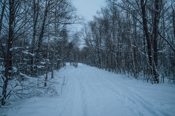 Obraz premium An abandoned village in winter
