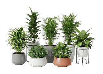 Obraz premium Group of potted plants transparent background cutout png