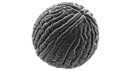 Close up of a single pollen grain with intricate surface texture.