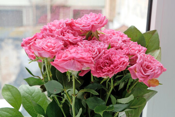 Pink roses flowers bunch stands on the windowsill against the backdrop