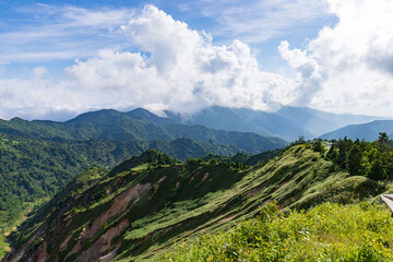Obraz premium Panoramic Summer Landscape of Shiga Kogen Highlands with Lush Alpine Forests, Japan