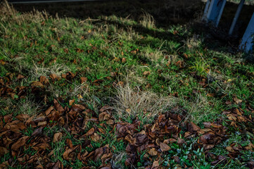 겨울 안양천 근처 둔치 