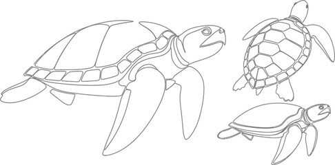 Three sea turtles outline © MD