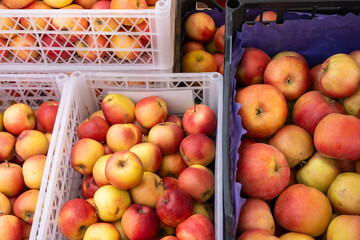 Market crates filled with fresh apples at an outdoor produce stand, showcasing abundant harvest and vibrant agricultural abundance in a rustic setting.

