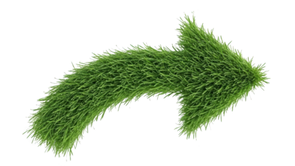 A large green grassy arrow points to the right on a white background in a natural setting.