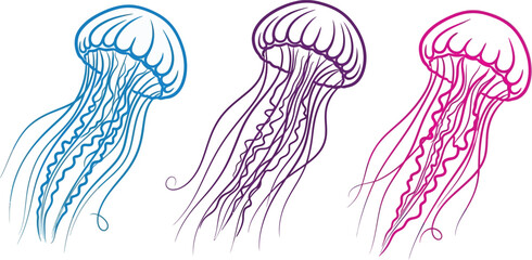 Three jellyfish outlines © MD