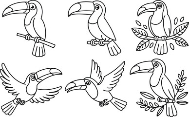 Five black and white toucan birds on branches in different poses