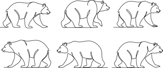 Six bears walking © MD