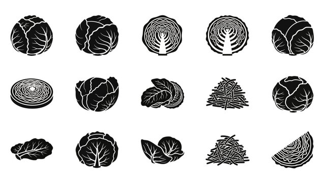 Cabbage Varieties